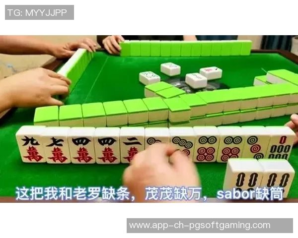 PG电子麻将胡了2-PG电子麻将胡了，再探数字娱乐的魅力-PG电子麻将胡了2